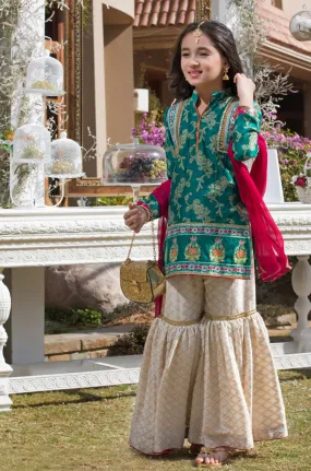 Embroidered Cotton Net Gharara Suit | WC1718 | G666