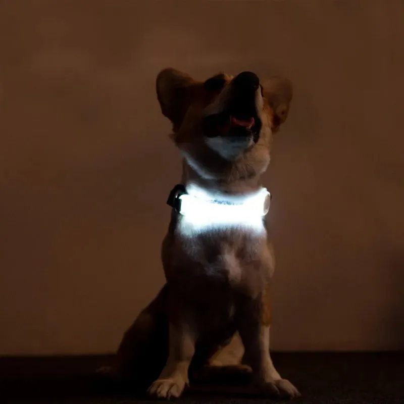 panDaDa Luminous Dog Collar Led Collar Avoid accidents Multifunction Pet Dogs Puppy Accessories For Small Large Dog Supplies